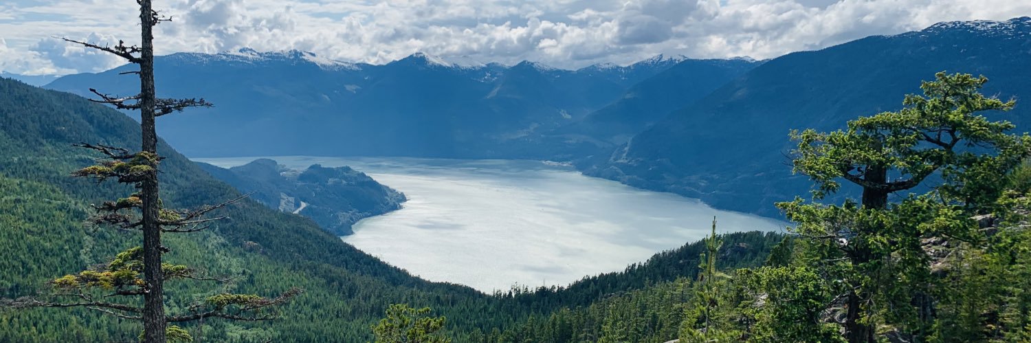 Heather Androsoff banner