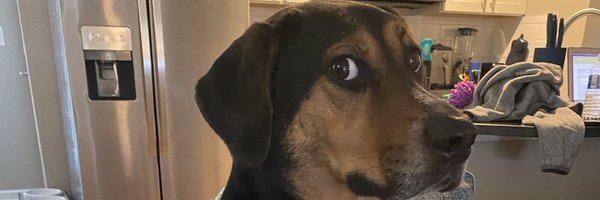 SadeLindsay_ Profile Banner