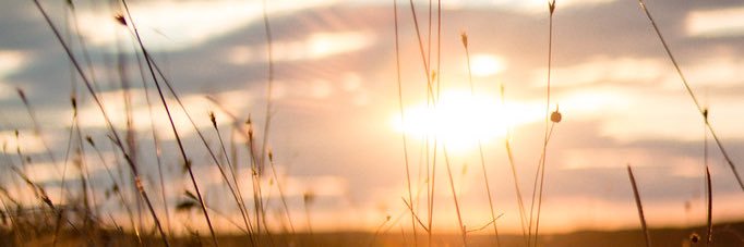 Elaloren's profile banner image