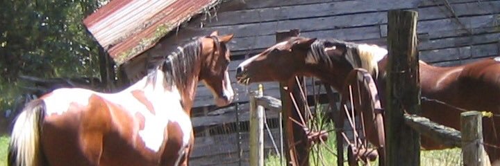 amoverby82's profile banner image