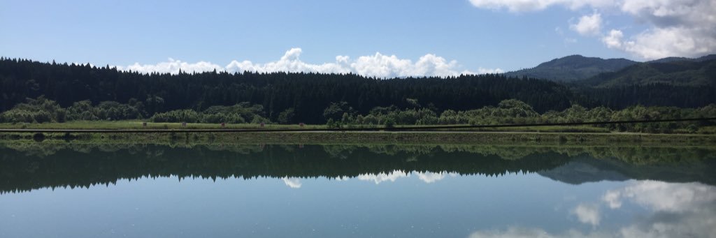 machi_Q's profile banner image