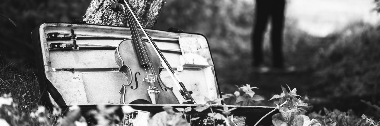 Olli Vänskä banner