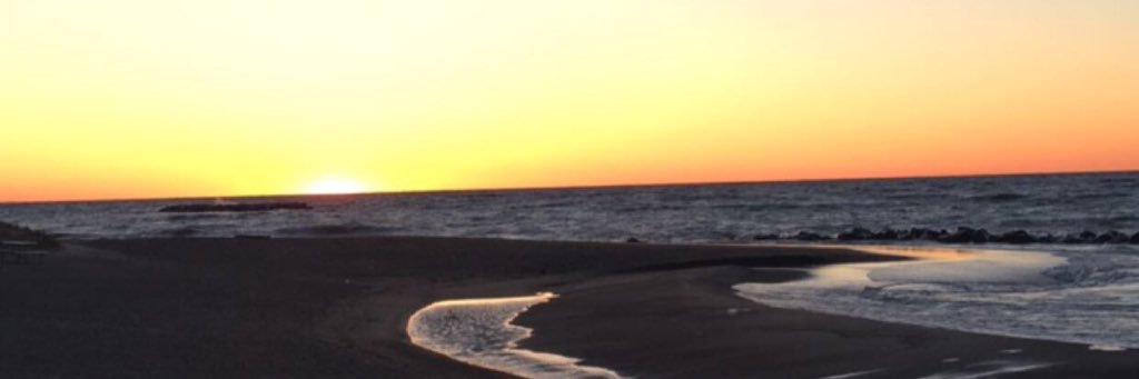 ominichelli's profile banner image