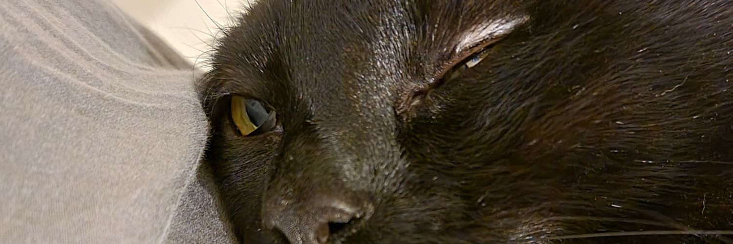 jato_127's profile banner image