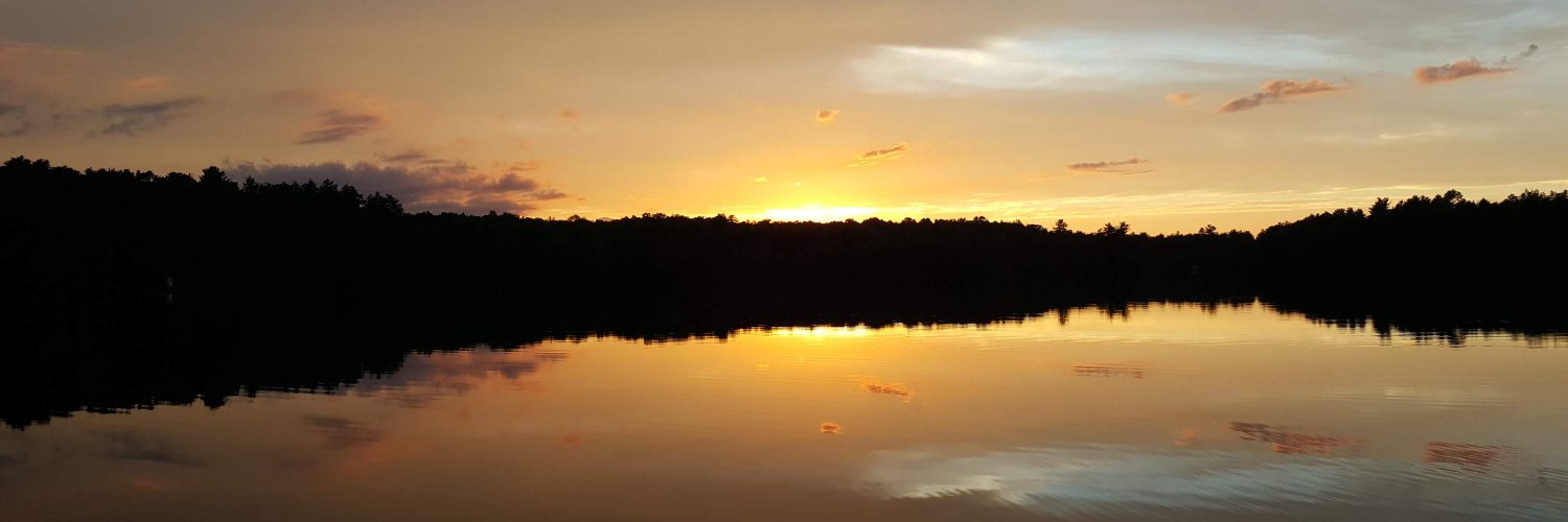 lmnarum's profile banner image