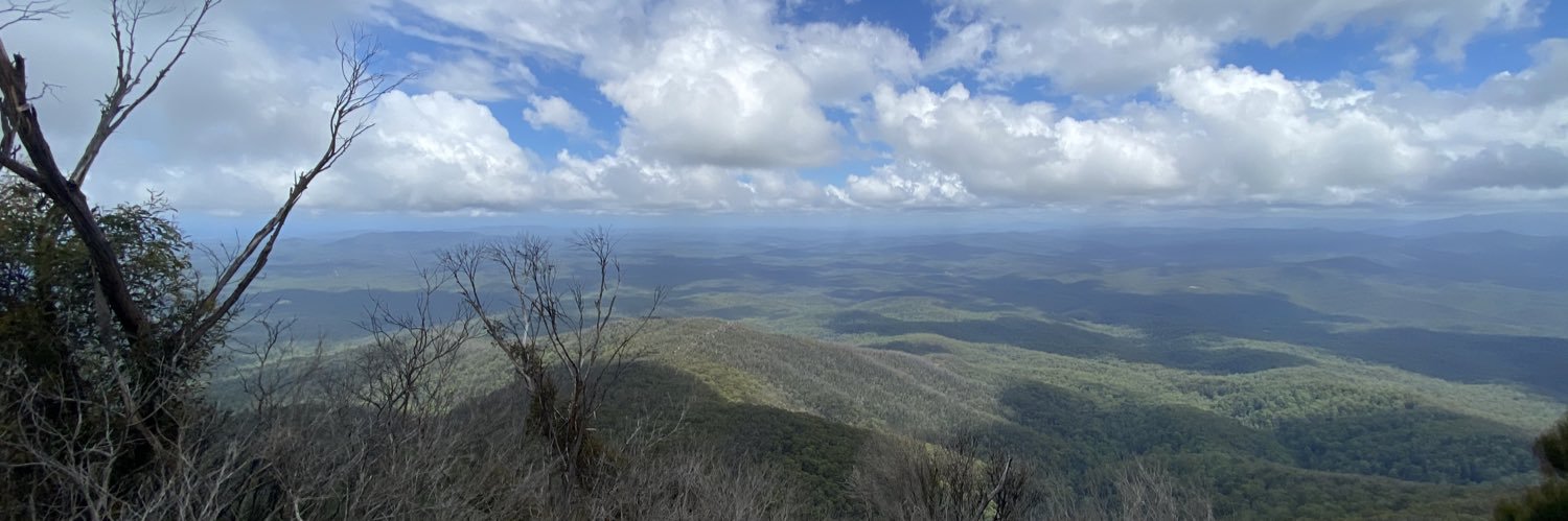 Jared Constable banner