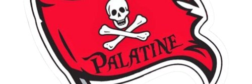 Palatine HS Gymnastics banner