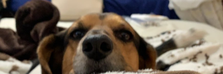 Mady6310's profile banner image