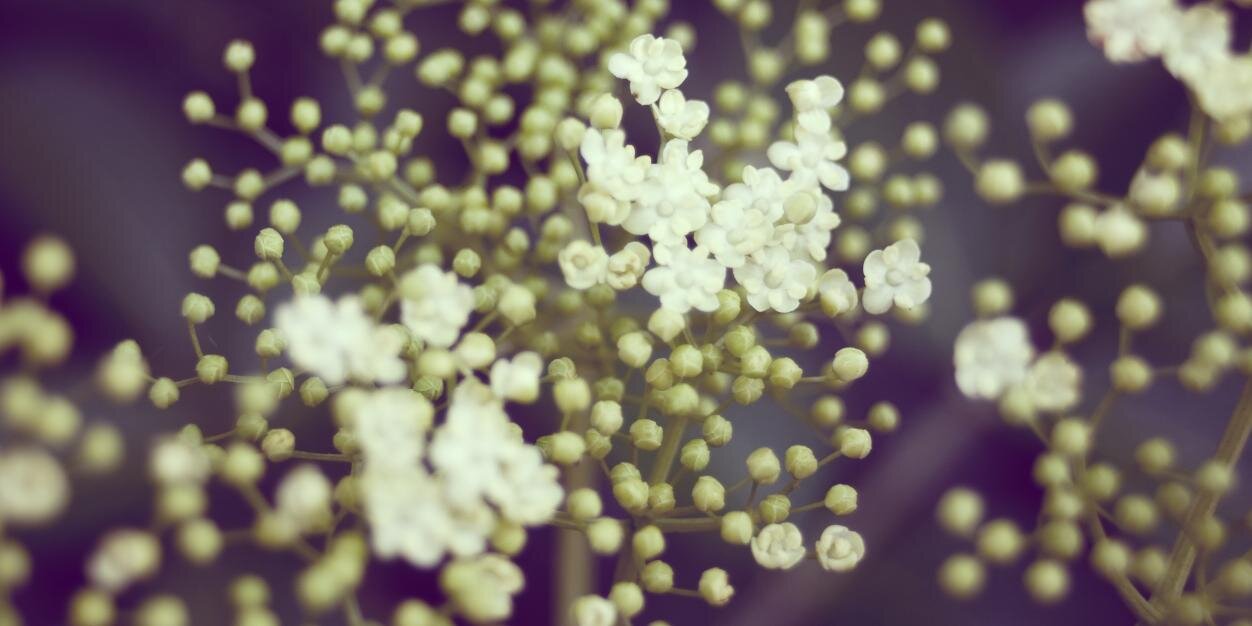 재스민 🌸 banner