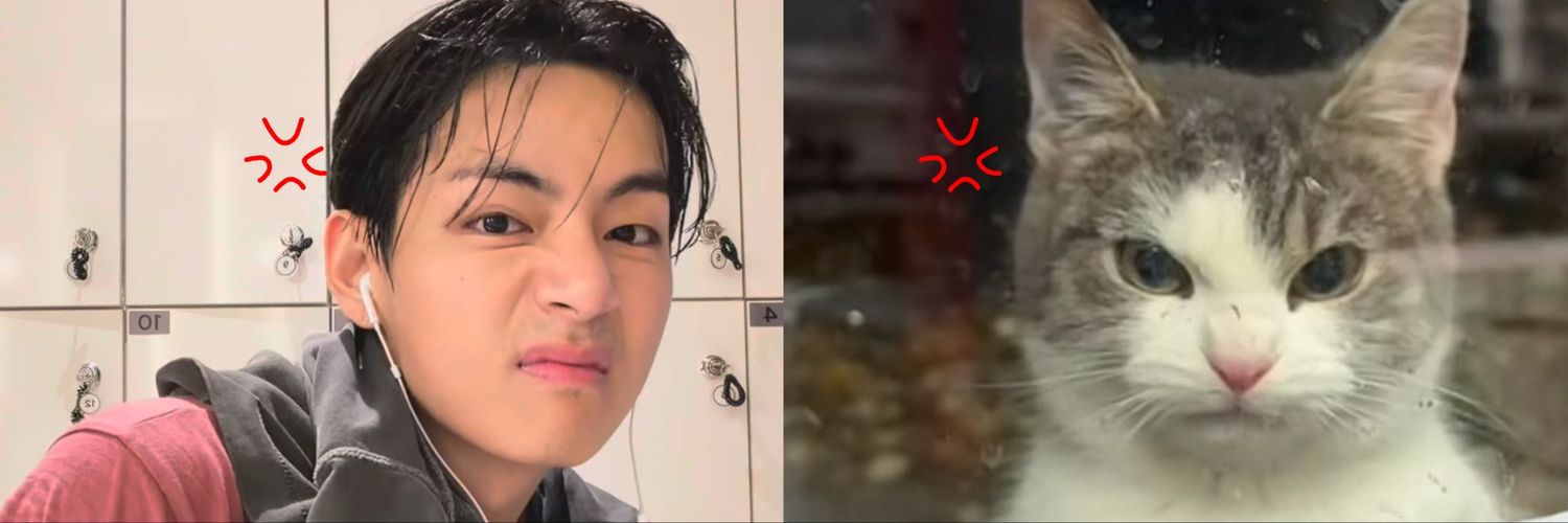 na. ៹🪭 ⁷ - VAI VER O BTS!! banner