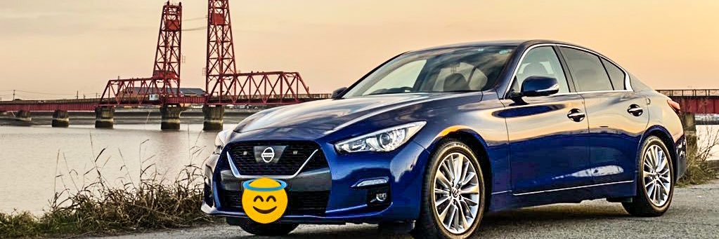 ﾗｲｽｺﾔｰｼｬ banner