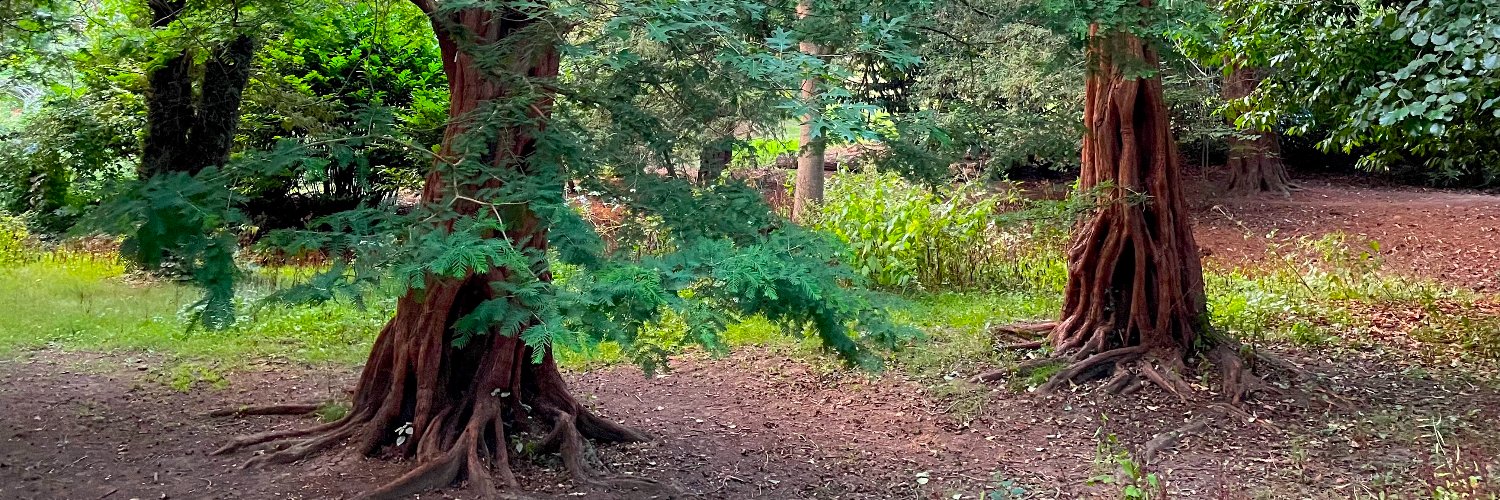 Annie Goliath banner