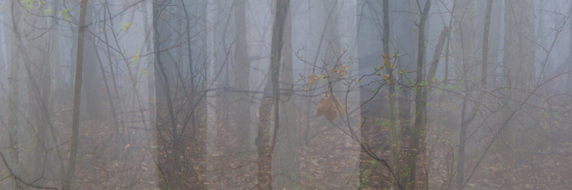 carlgerman63's profile banner image