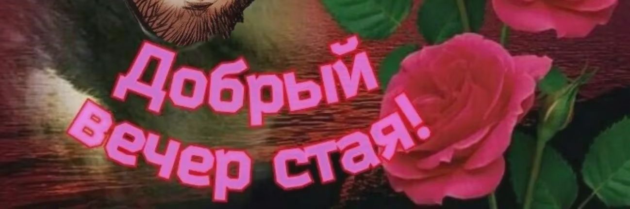 Бомж Олежа💃🕺токсик🕺💃 banner