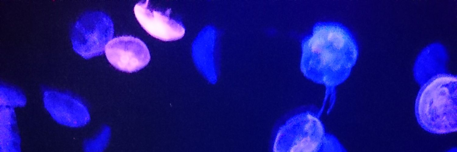 kurage206's profile banner image