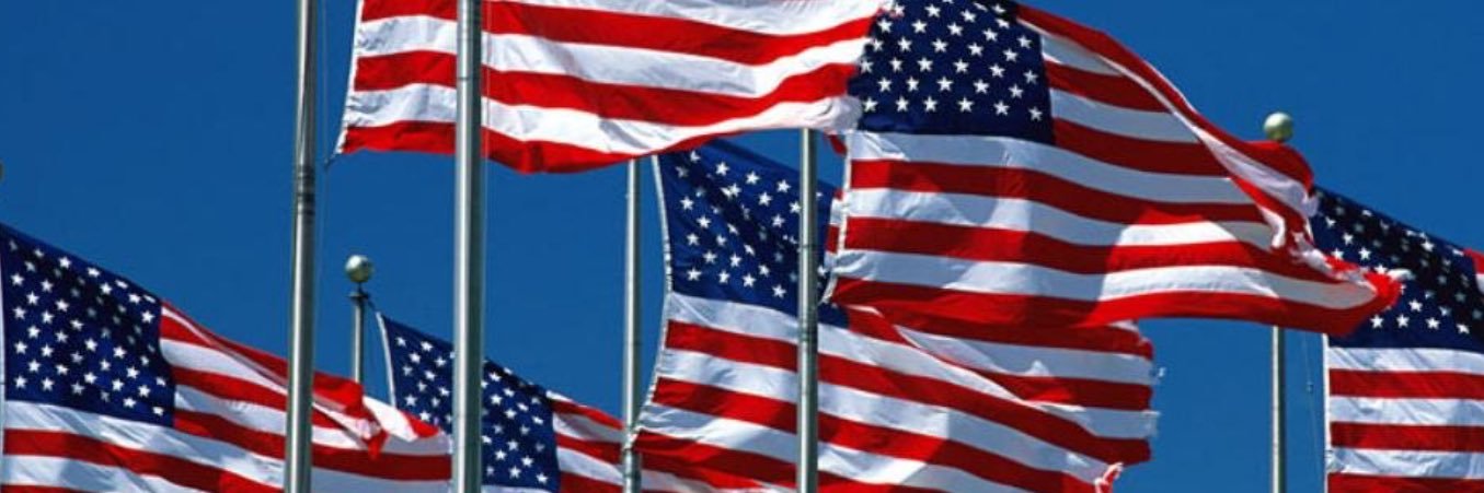 IngoldIsrael's profile banner image