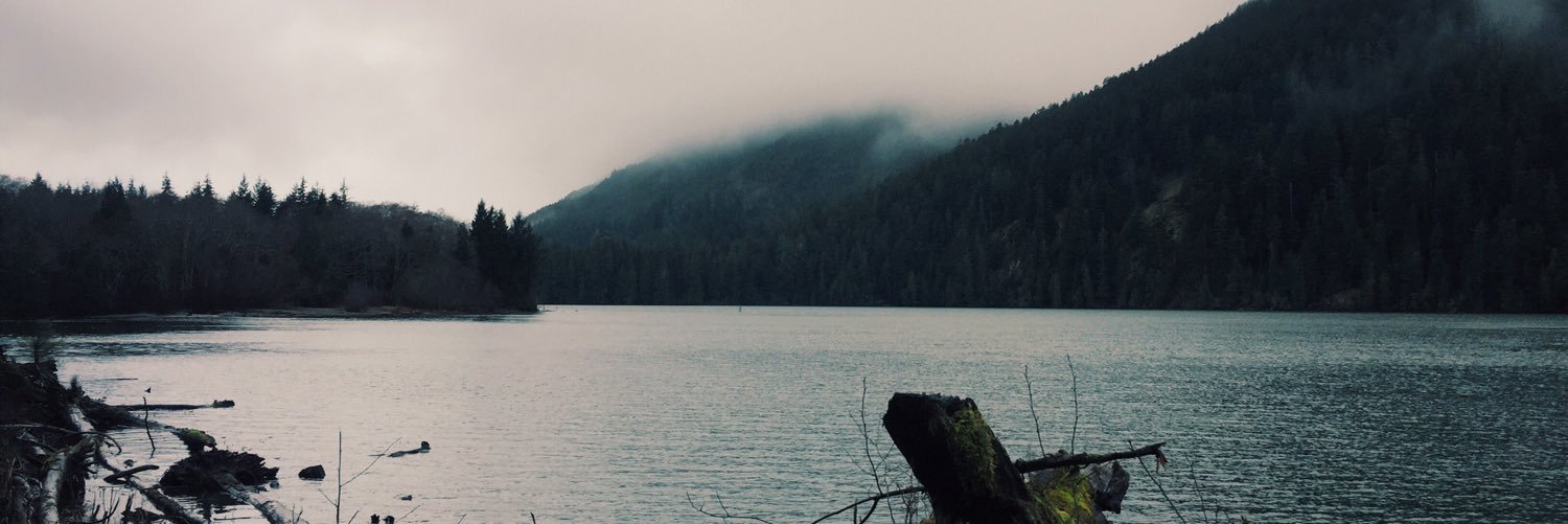 MicaelaJohnson8's profile banner image