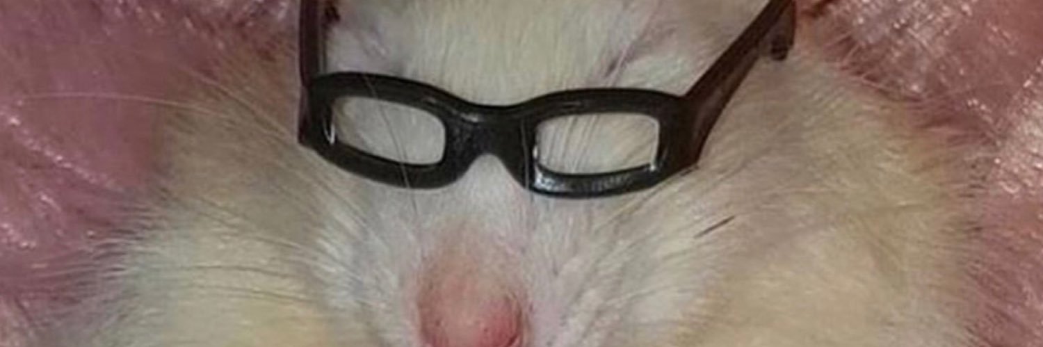 Amanda Chu, PhD banner