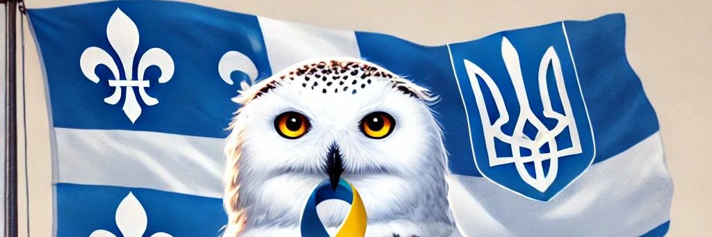p_vienneau's profile banner image
