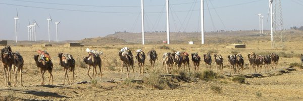 HWoldekiros Profile Banner