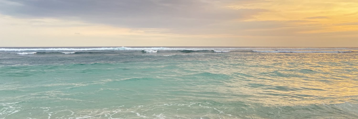novita banner