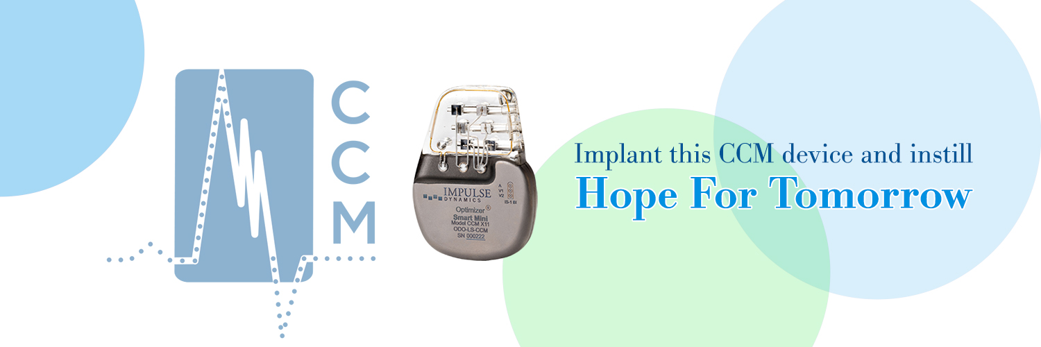 Impulse Dynamics banner