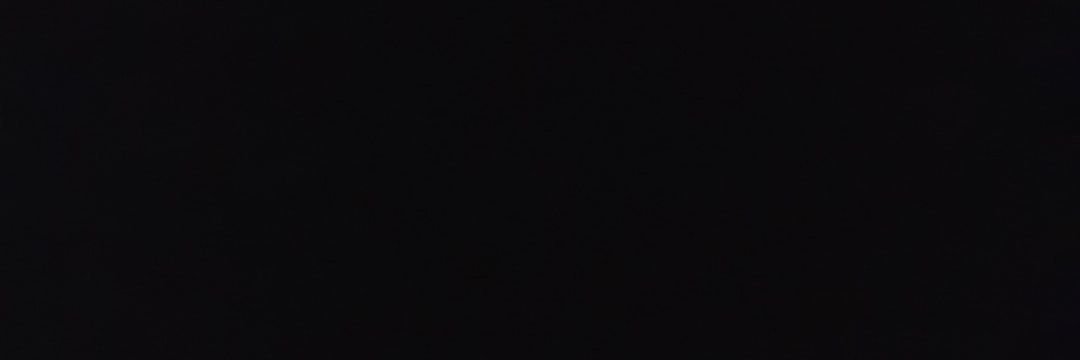 ReggaeRebelLizB's profile banner image