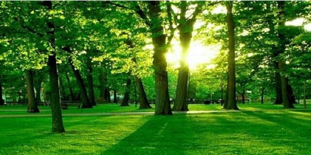 True_Kazakh's profile banner image