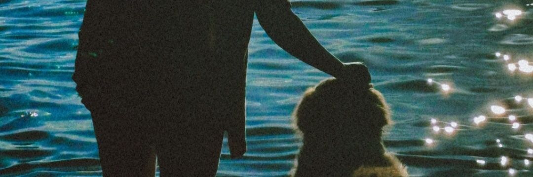 chapaemorga's profile banner image