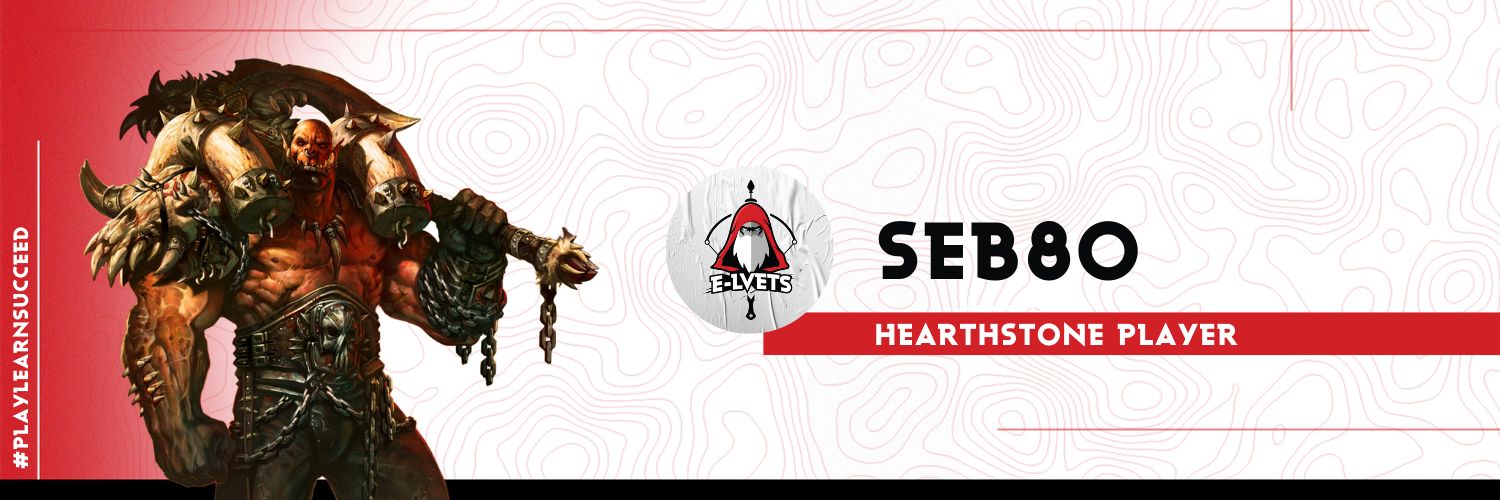 ELV Seb80 banner