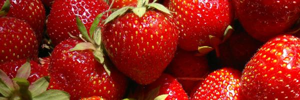 BerguBode Profile Banner