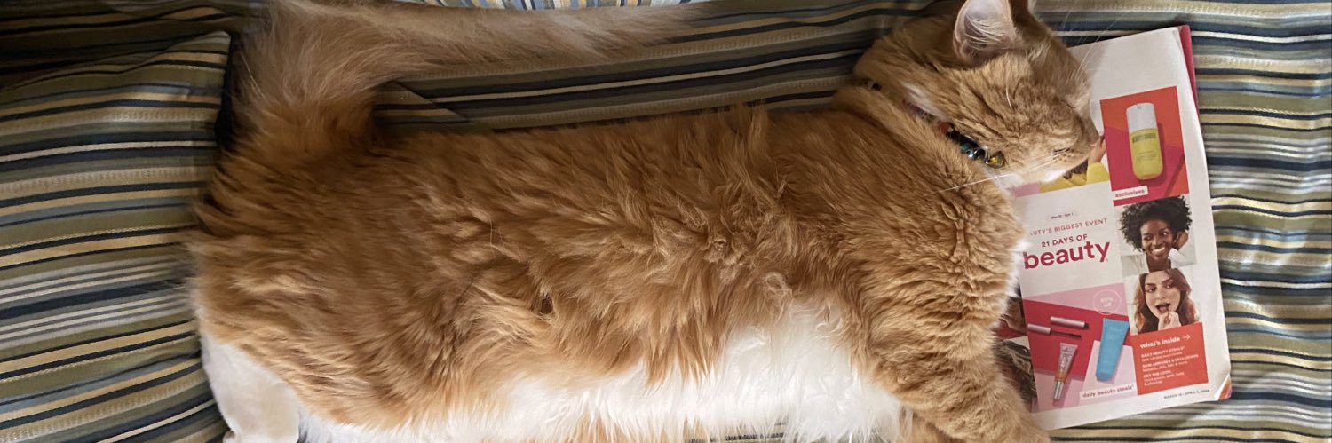 COMMS IN PROGRESS banner