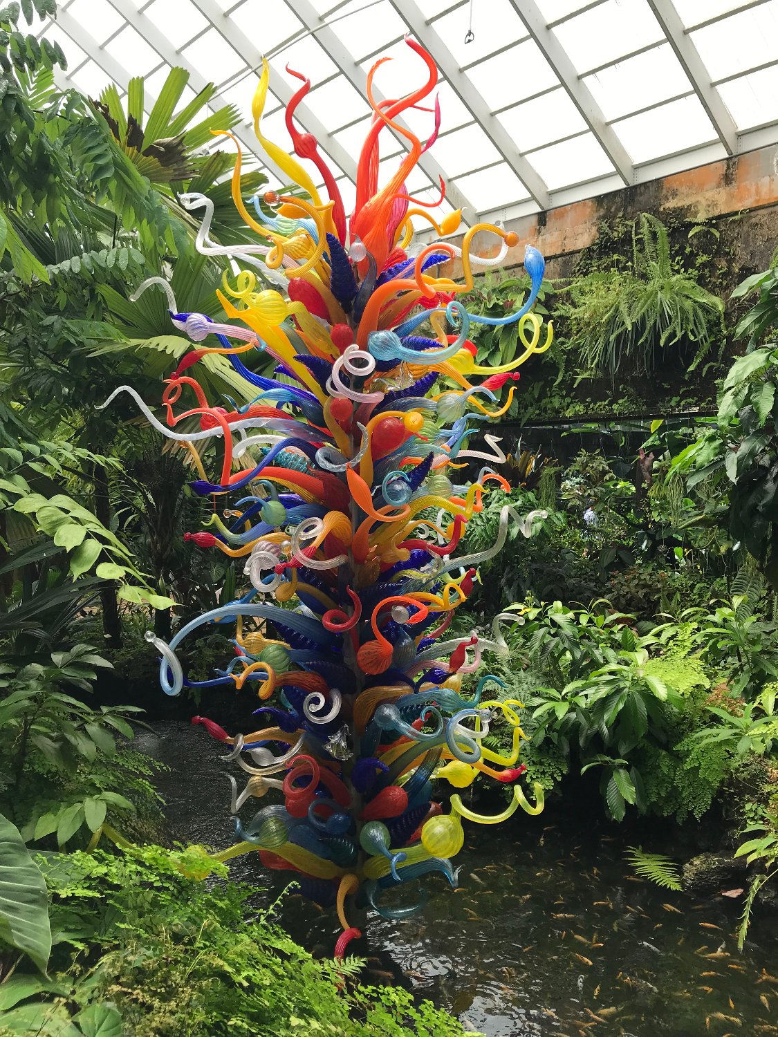 Rhonda A. Anderson banner