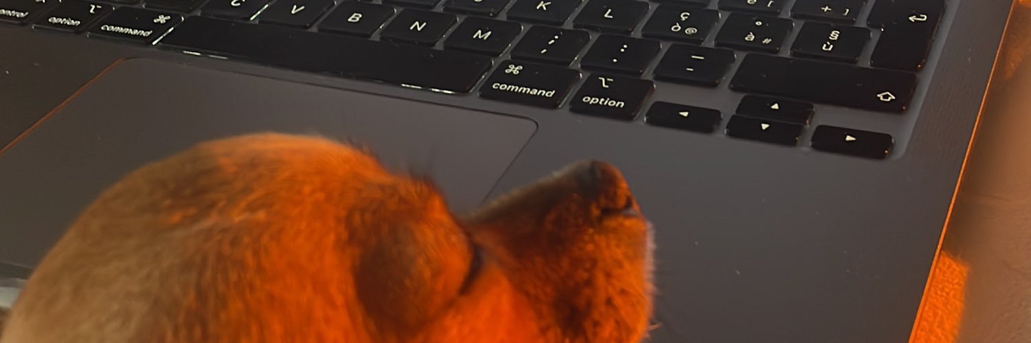 MMIsBerta's profile banner image