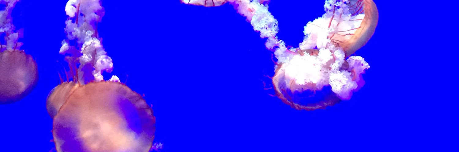 n6bils's profile banner image