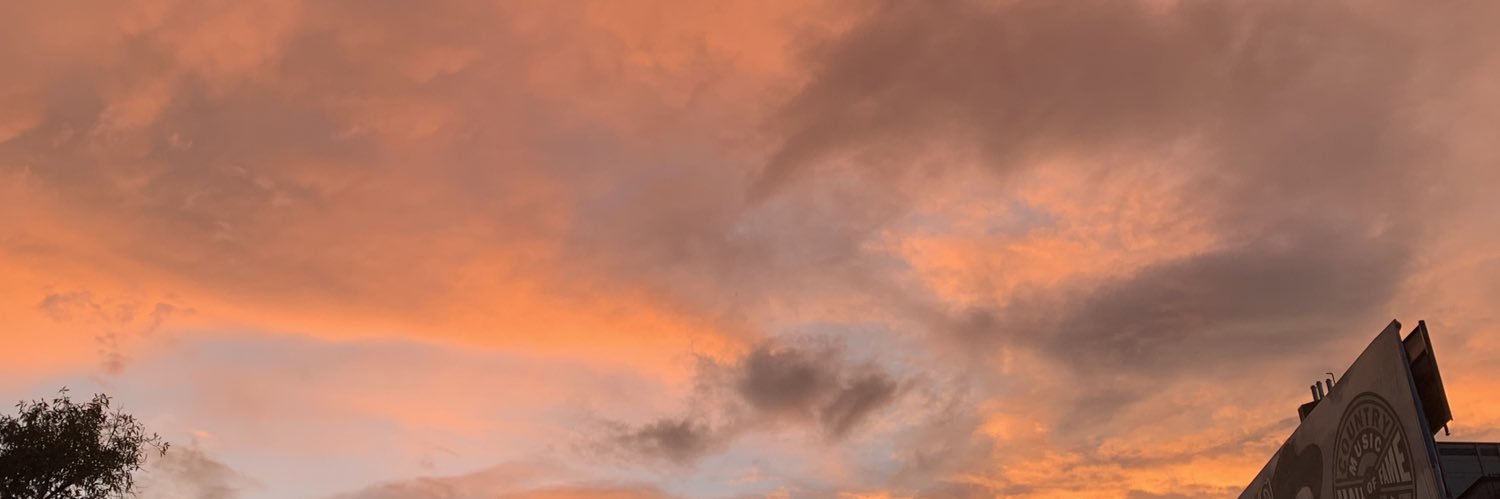 MsMontyKat's profile banner image