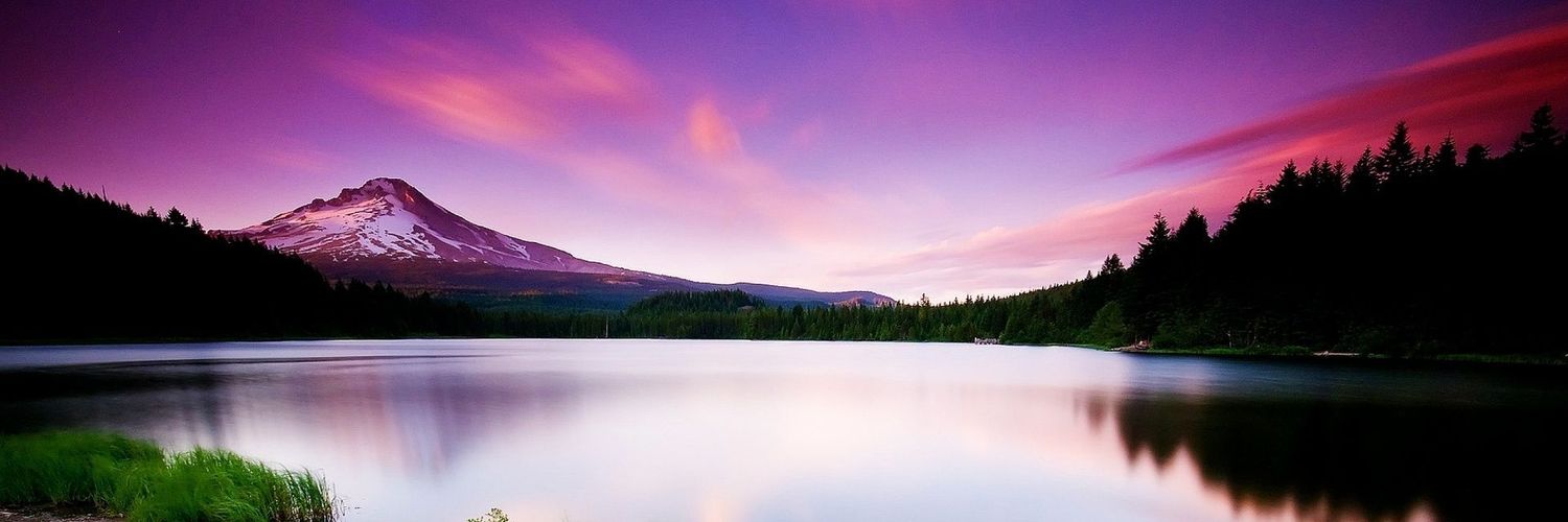 bbsp591's profile banner image