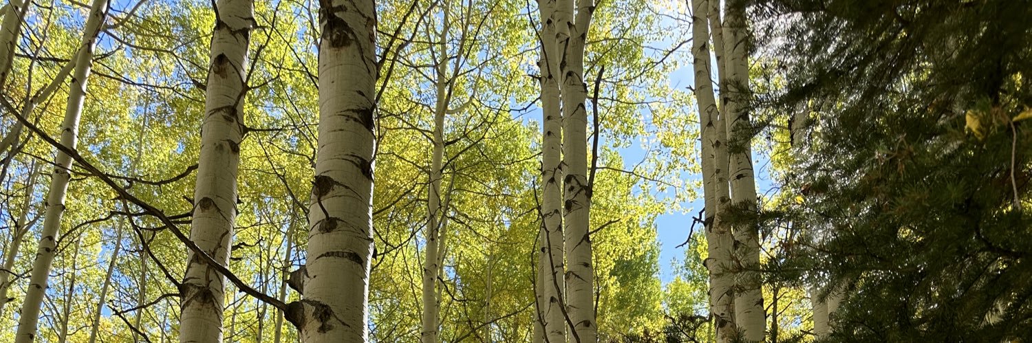 kkmull14's profile banner image