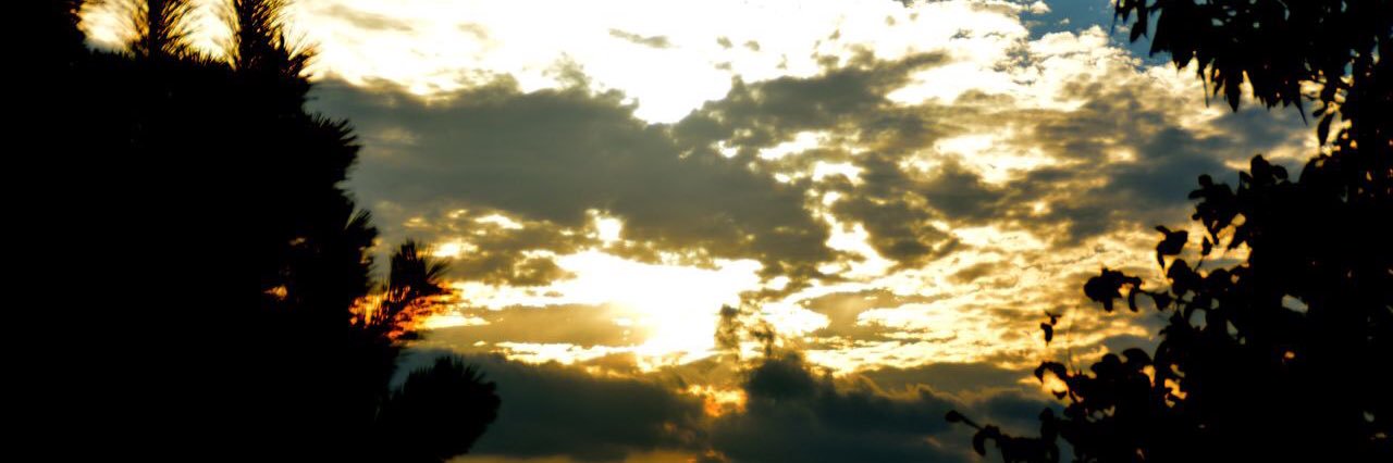 ensy banner