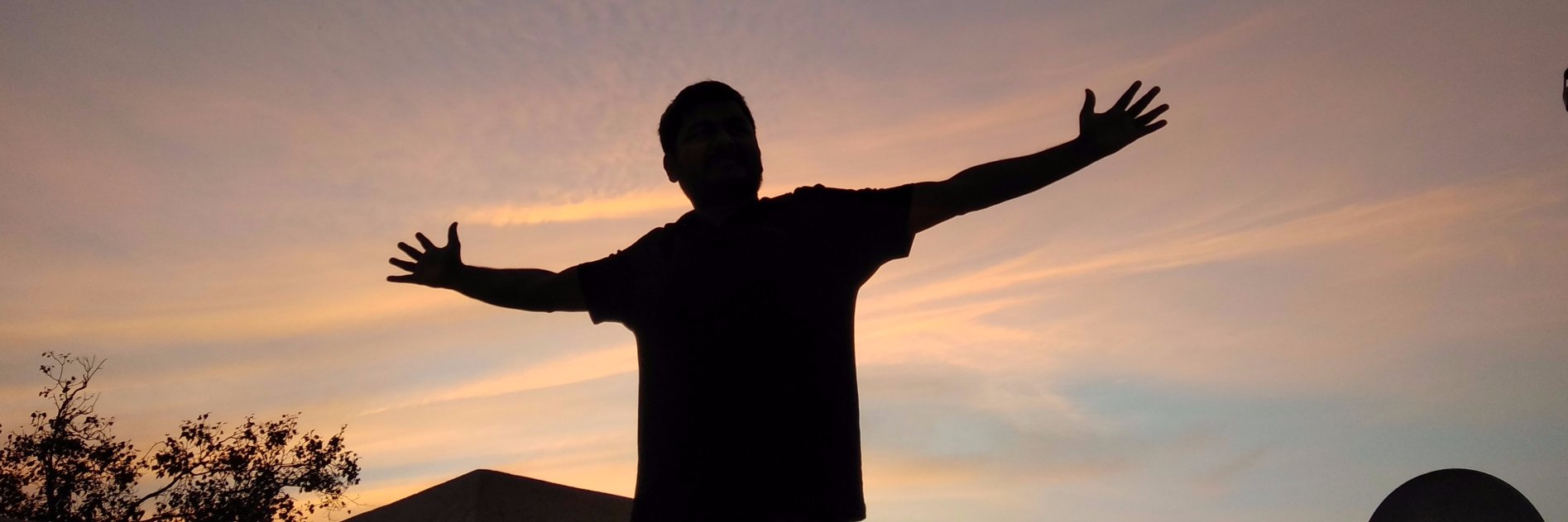 idiotbittu's profile banner image