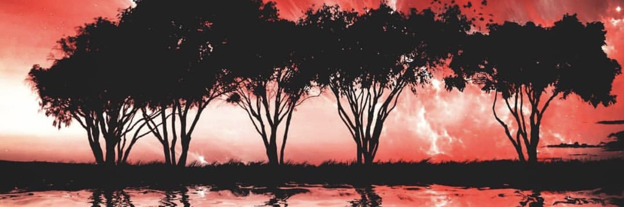 Daryn_Lewis's profile banner image