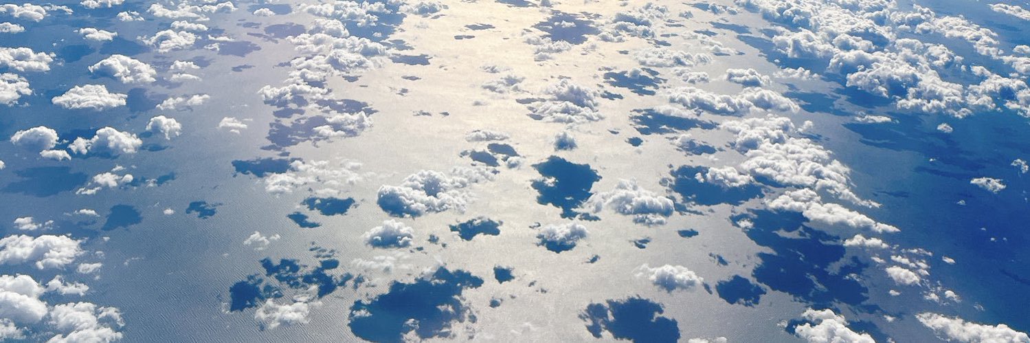 八朔🦦☺︎39w1d→0m✨ banner