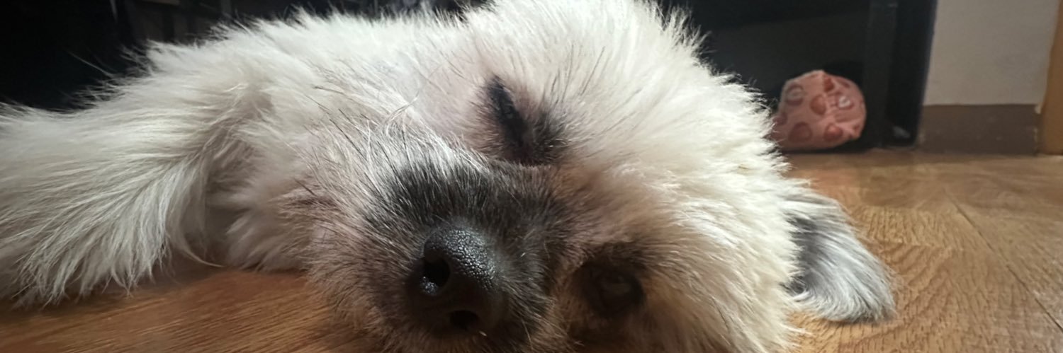 Radioactive Sushi banner