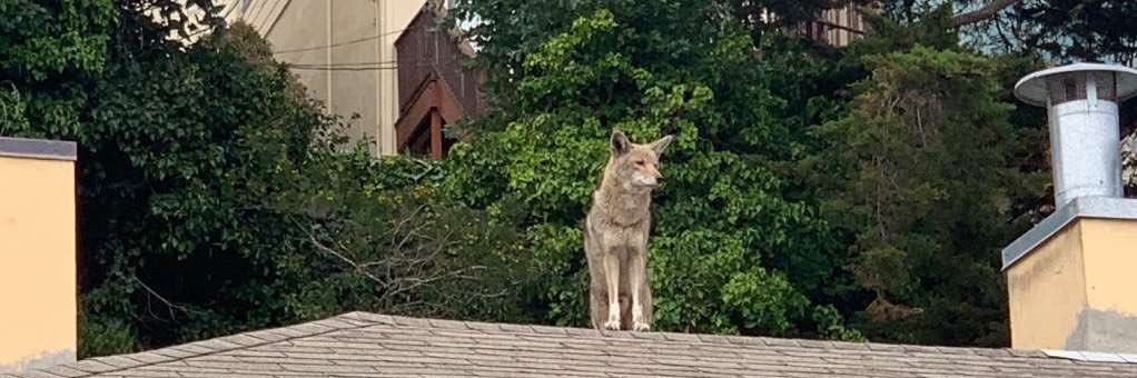 Cesár Estien, PhD 🇵🇸 banner