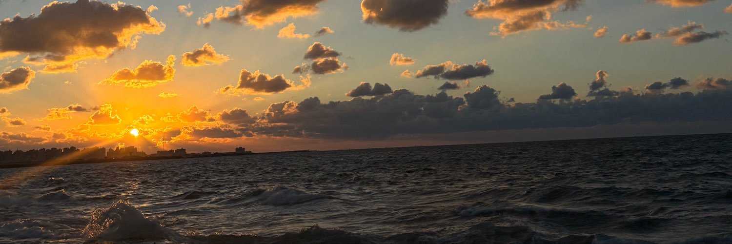 msayeddz's profile banner image