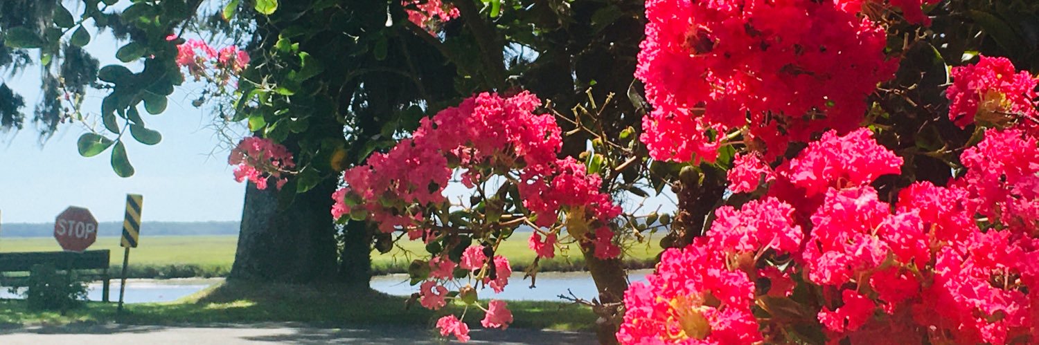 That Damn Yankee🔥🇺🇸 banner