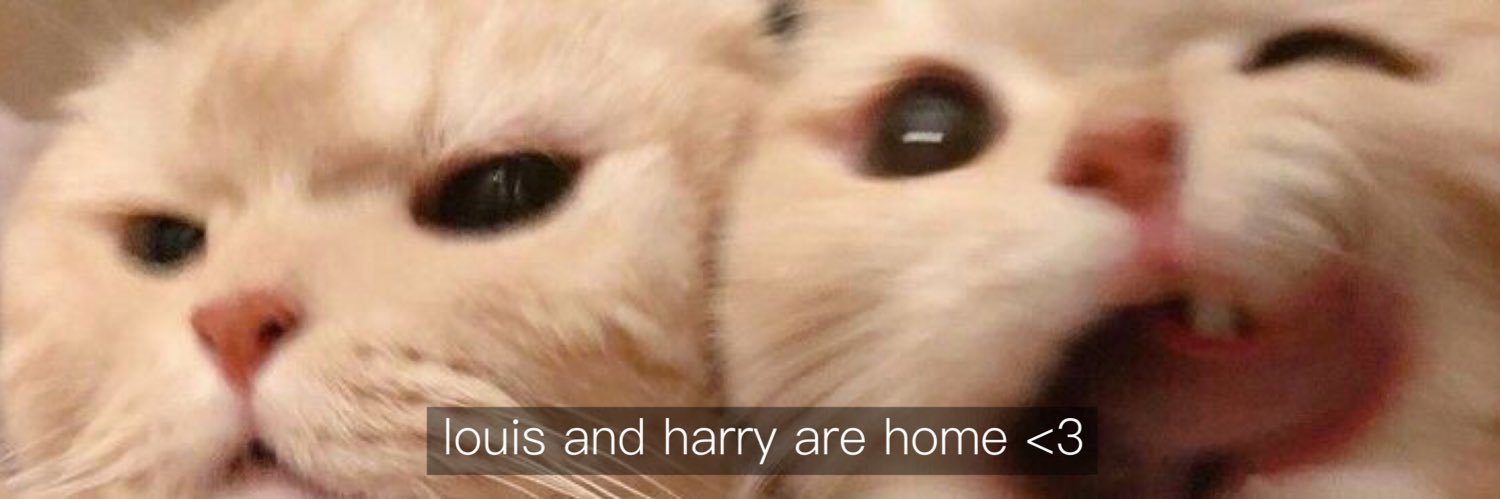 saraseaside's profile banner image