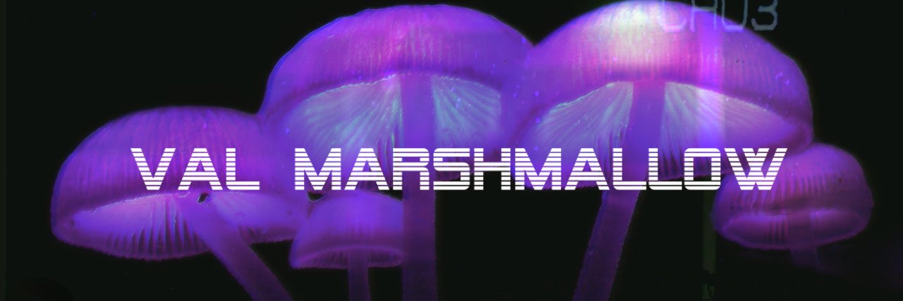 Val_Marshmallow's profile banner image