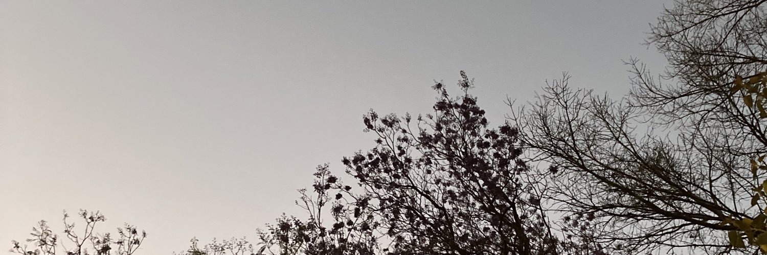 amnlilili's profile banner image