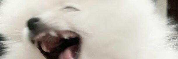 wegin_'s profile banner image